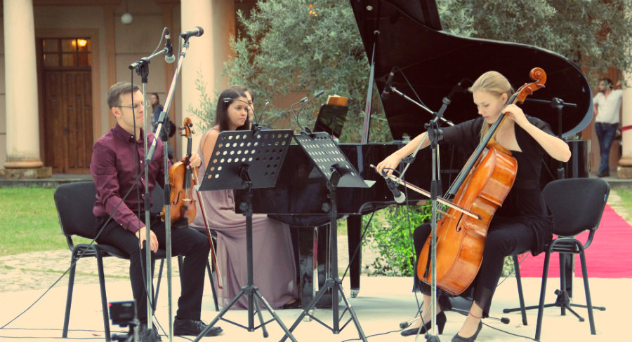 სალხინოს სასახლის კამერატა დაიხურა