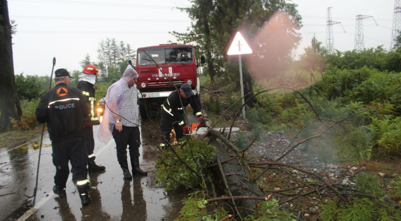 ძლიერმა ქარმა და წვიმამ წალენჯიხის მუნიციპალიტეტში პრობლემები შექმნა