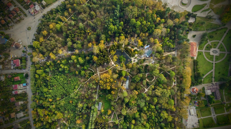 ნოემბერში ზუგდიდის ბოტანიკური ბაღის რეაბილიტაცია სრულდება