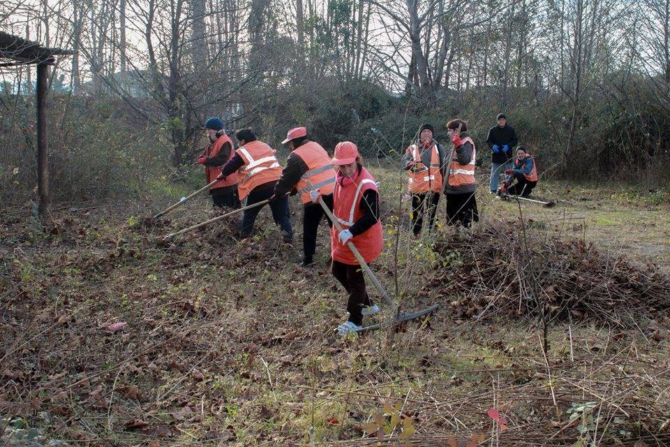 ფოთის სერვისების ცენტრის თანამშრომლებმა ყოფილი სამხედრო ჰოსპიტალის ეზო დაასუფთავეს