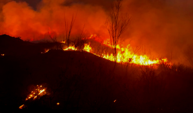 წალენჯიხის ორ სოფელში – ჯგალსა და სქურში ხანძარია