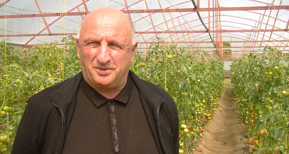 სასათბურე მეურნეობის მფლობელი სოციალურ ქსელში გავრცელებულ დეზინფორმაციას გამოეხმაურა