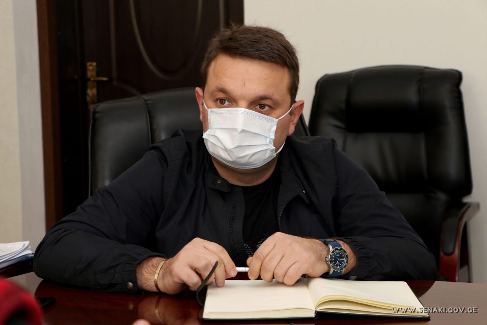 სენაკის მერი სტუდენტური პარლამენტის წარმომადგენლებს შეხვდა