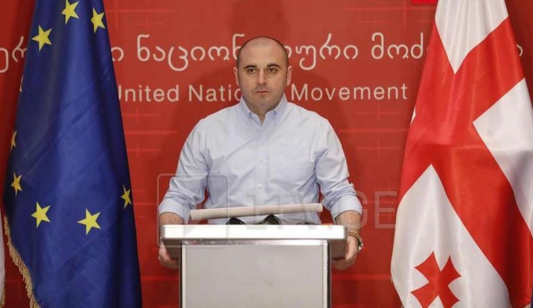 რა ქონებას ფლობს „ნაცმოძრაობის“ ახალი თავმჯდომარე ლევან ხაბეიშვილი