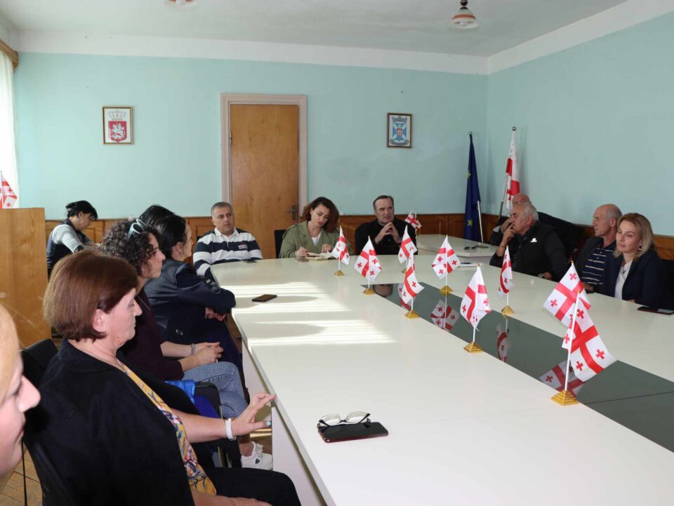 წალენჯიხის მერი მცირემეწარმეებს შეხვდა