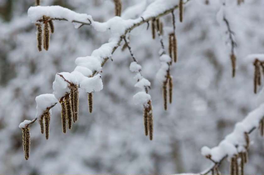 სინოპტიკოსების პროგნოზით, საქართველოში ამინდი მკვეთრად გაუარესდება