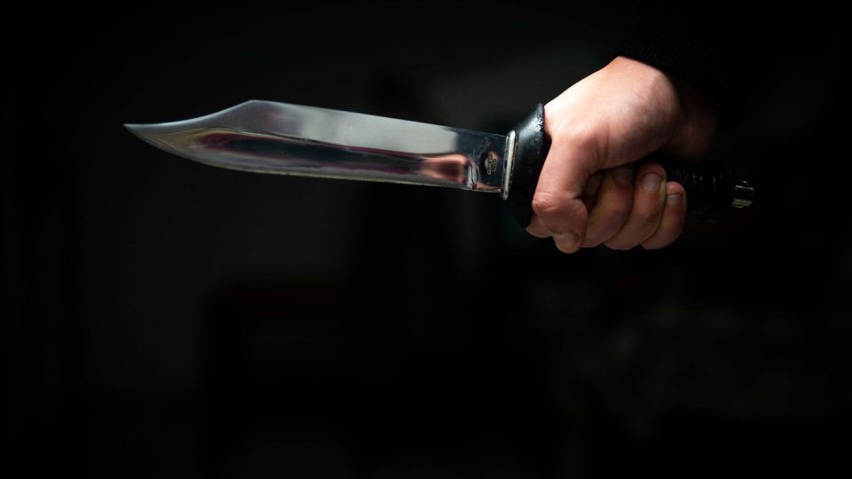 სენაკში ქმარმა ცოლი ცივი იარაღით მოკლა