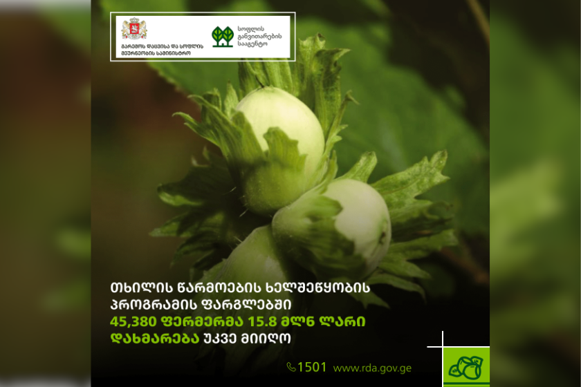 თხილის წარმოების ხელშეწყობის სახელმწიფო პროგრამის ფარგლებში, 45,380 ფერმერმა 15.8 მლნ ლარი დახმარება უკვე მიიღო